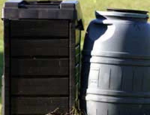 A Kids’ Guide to Composting